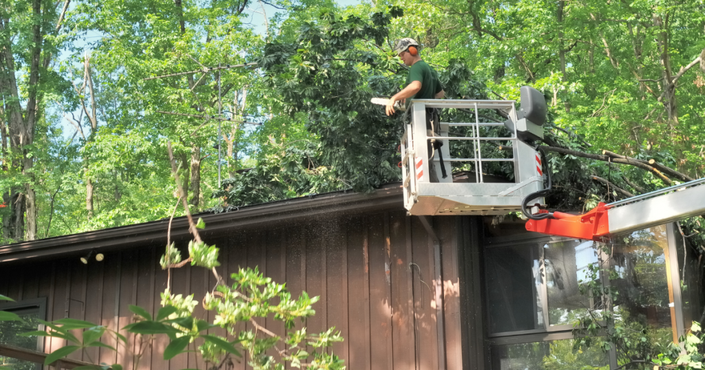 keep tree branches off metal roofs
